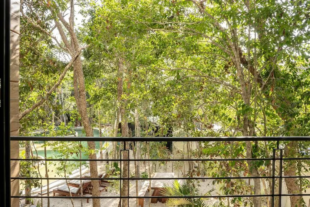 New 1 Bed Room - Tulum - Private Terrace