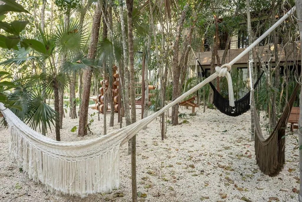 Apartment New 1 Bed Room - Tulum - Private Terrace