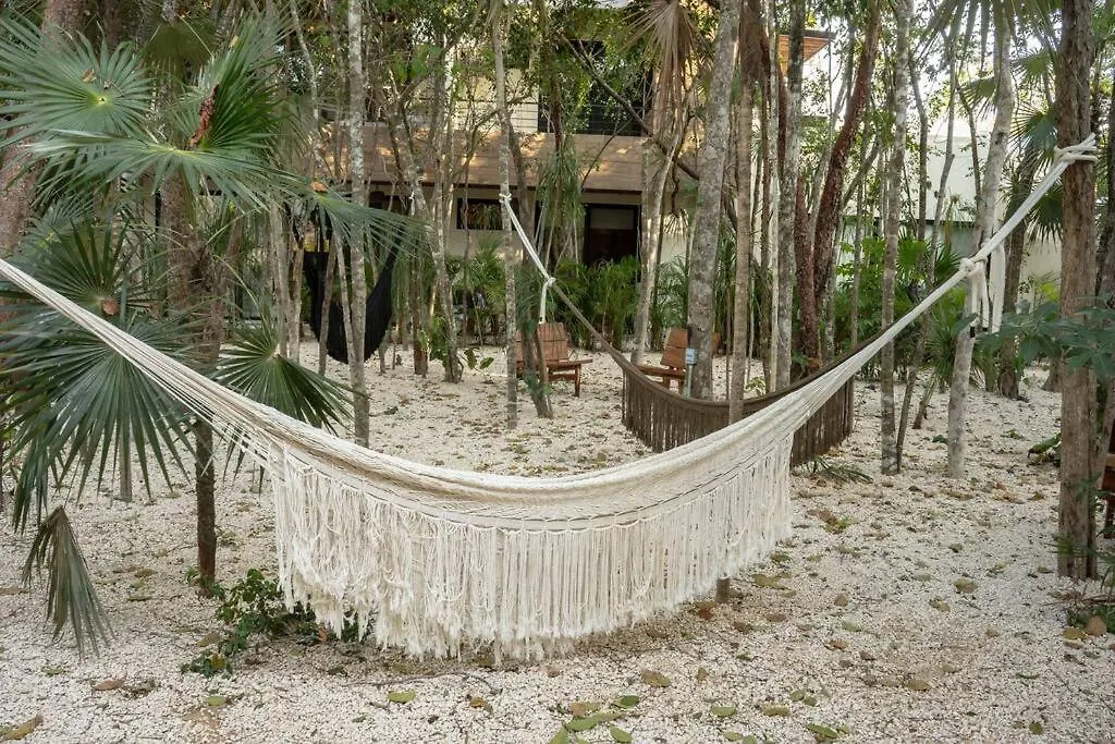 New 1 Bed Room - Tulum - Private Terrace
