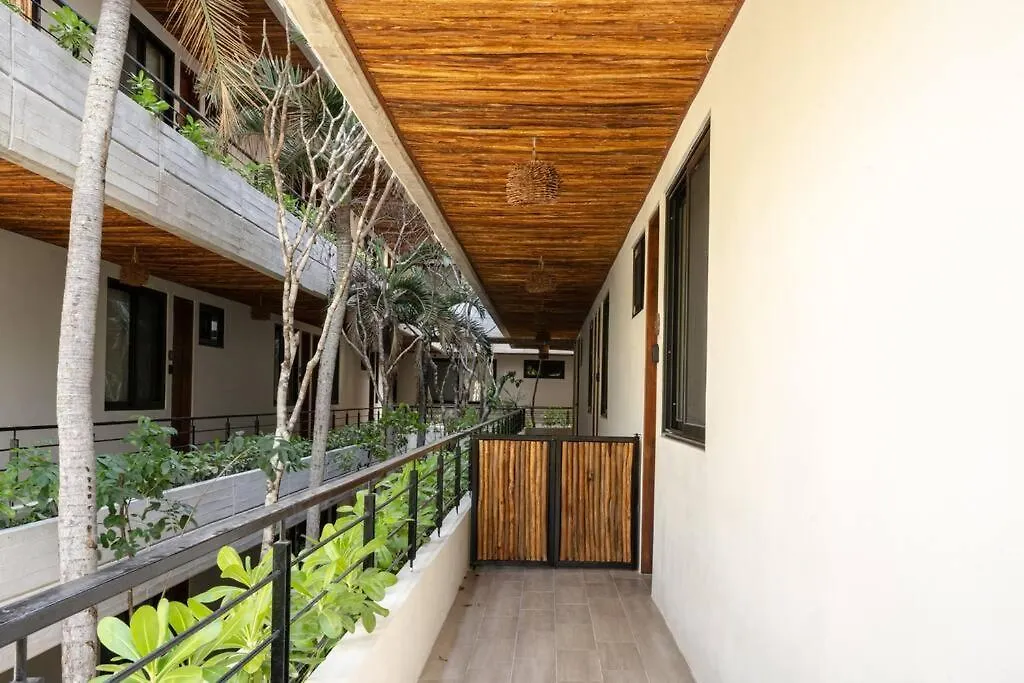 Apartment New 1 Bed Room - Tulum - Private Terrace
