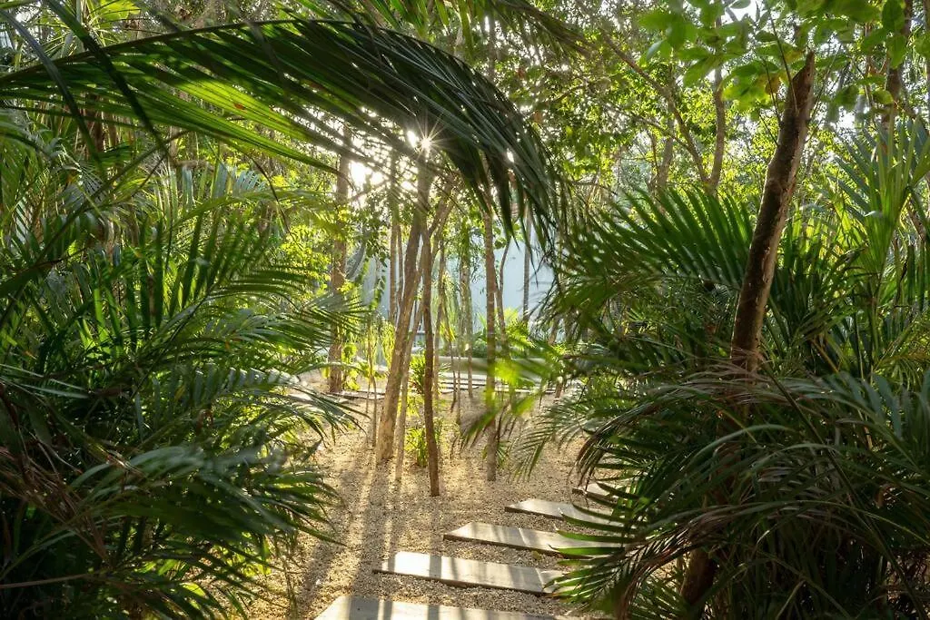 New 1 Bed Room - Tulum - Private Terrace