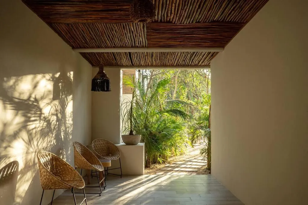 Apartment New 1 Bed Room - Tulum - Private Terrace